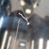 D_634275-MLM112459933598_062026-F.jpg Puerta Delantera Derecha Camry 2018 2024