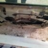 D_652272-MLM50880468274_072022-F.jpg Puerta Delantera Derecha Bmw Serie X5 2000 2004