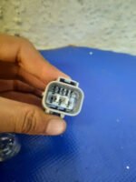 Arnes De Calavera Tacoma 2005 2015