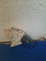 D_766769-MLM69844707138_062023-F.jpg Motor Elevador Trasero Izquierdo Tiguan 2012 2016