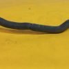 D_781064-MLM85554263837_062025-F.jpg Cable De Radiador De Agua Ford Ka 2003 2008