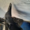 Fascia Delantera Honda Odyssey 2018 2021