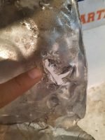 D_795490-MLM49728941943_042022-F.jpg Tolva Difusora De Calor Inferior Vento 2016 2020