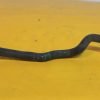 D_803627-MLM85554213877_062025-F.jpg Cable De Radiador De Agua Ford Ka 2003 2008