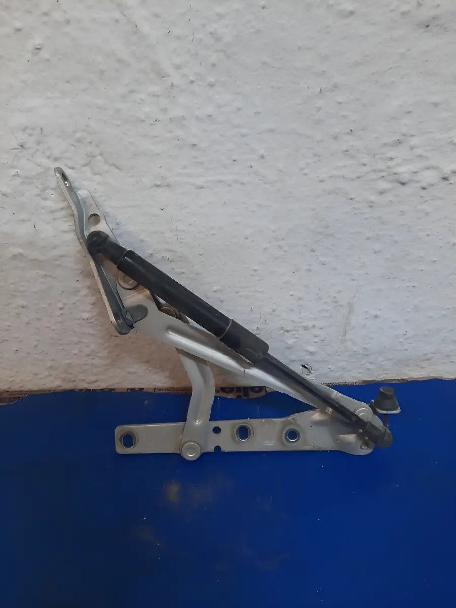 Bisagra Cajuela Derecha Ford Figo 2016 2017 2018 2019