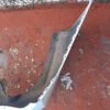Fascia Trasera Nissan Versa 2010 2012