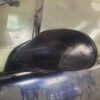 Espejos Mercedes-benz Clase A 1999 2000 2001 2002 2003 2004