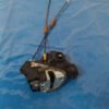 D_939684-MLM85935516401_062025-F.jpg Chapa Puerta Delantera Derecha Toyota Camry 2002 2006