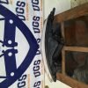 D_947599-MLM50986223562_082022-F.jpg Faro Derecho I10 2015 2017