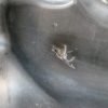 D_958305-MLM113356694703_062026-F.jpg Resonador Honda Civic Ex 1.7 Aut Mod En 2001 2005 Original
