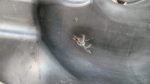 D_958305-MLM113356694703_062026-F.jpg Resonador Honda Civic Ex 1.7 Aut Mod En 2001 2005 Original